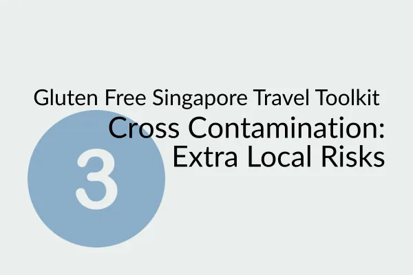 Gluten Free Singapore Travel 3