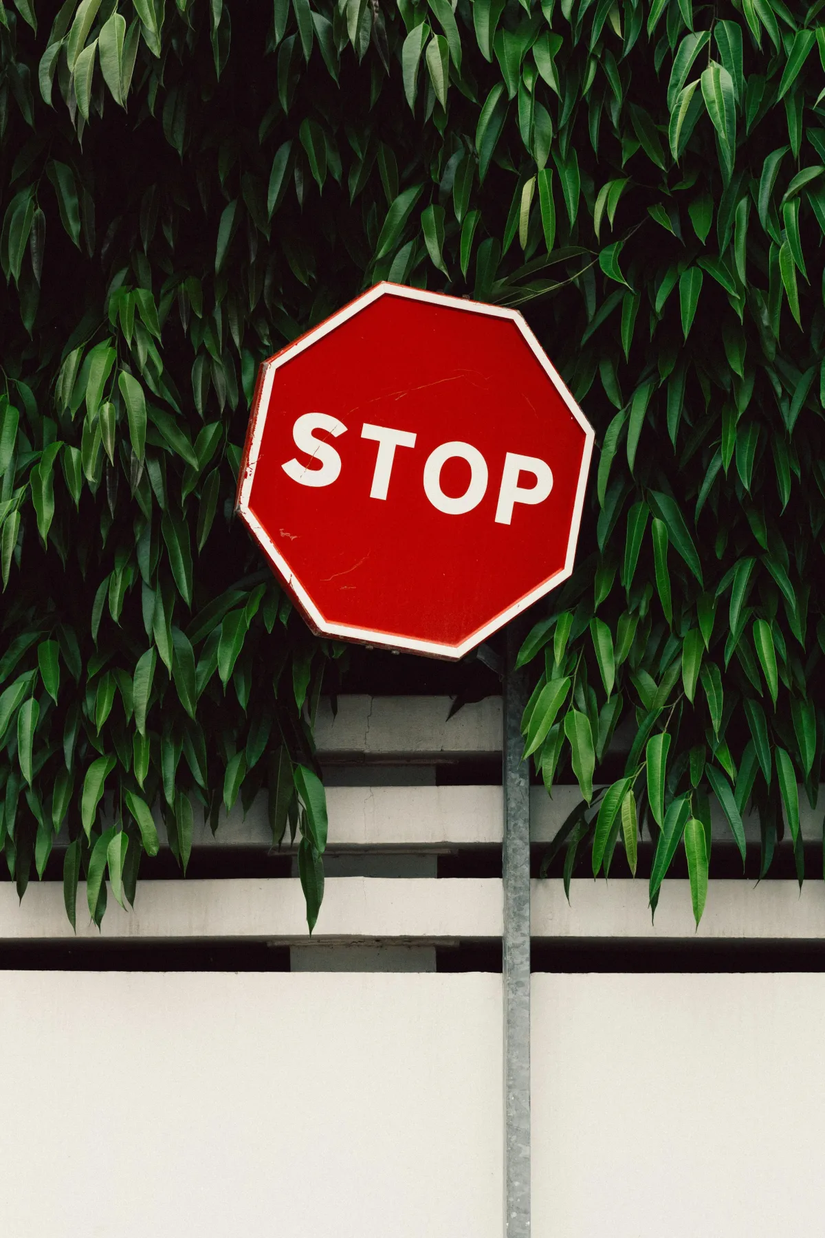 Stop!!! 3 Common Phrases To Avoid