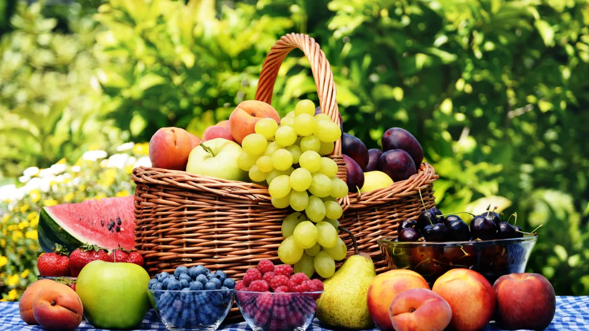 Nine fruits of the Spirit illustrated on a tree – Symbolizes the Holy Spirit producing love, joy, peace, and other virtues.