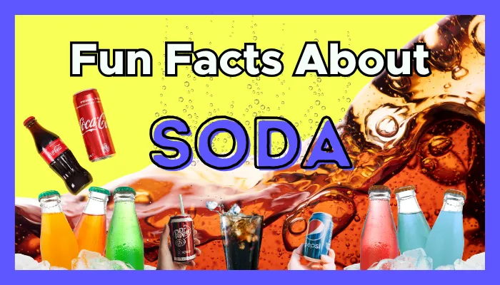 What Makes Soda Fizzy? Fun Facts for Kids