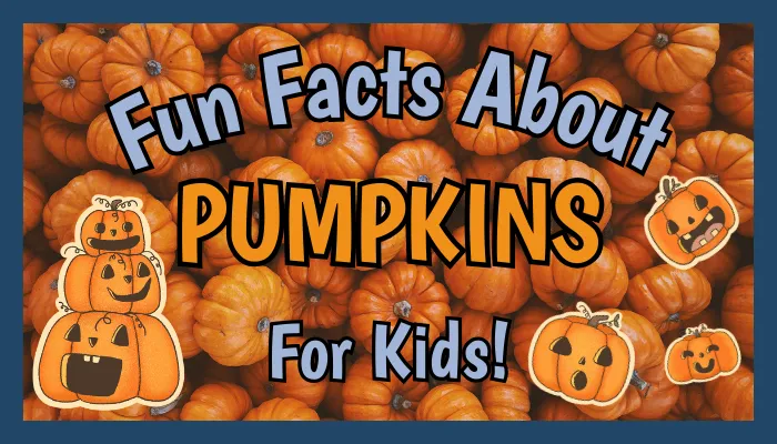 Fun Facts About Pumpkins for Kids