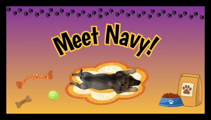 Pet of the Month: October 2025