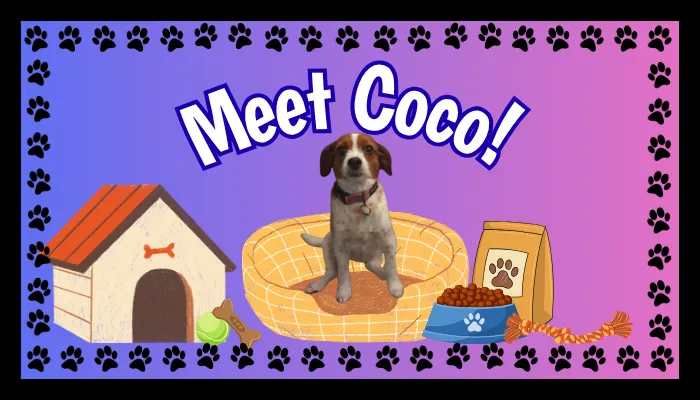 Meet Coco!