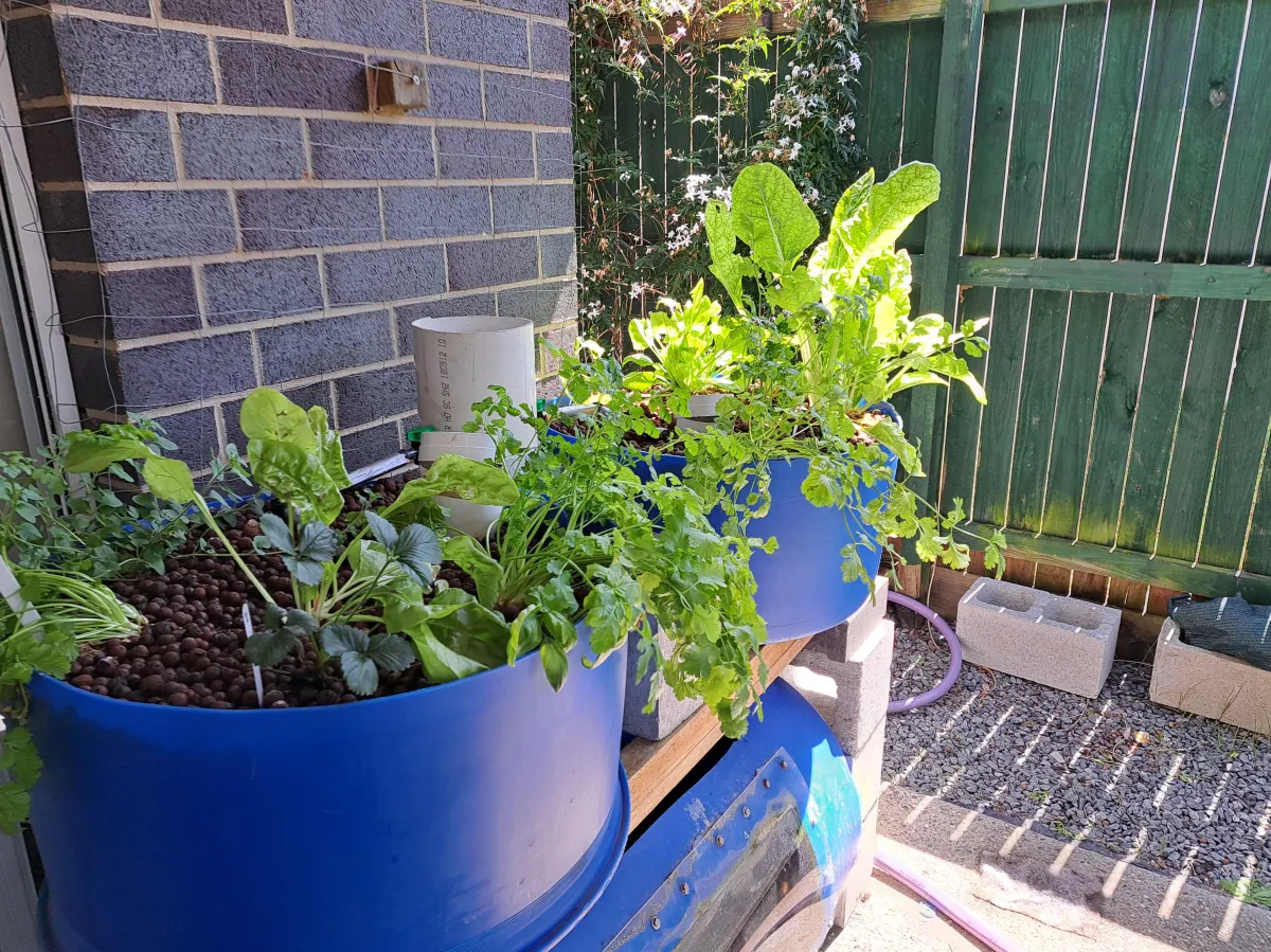 Small home aquaponics system