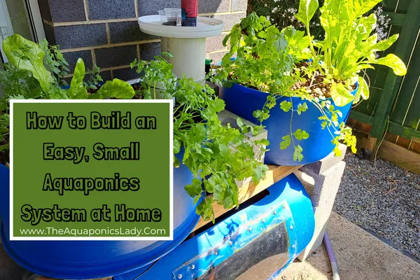 Small home aquaponics system