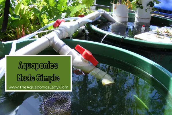 aquaponics made simple