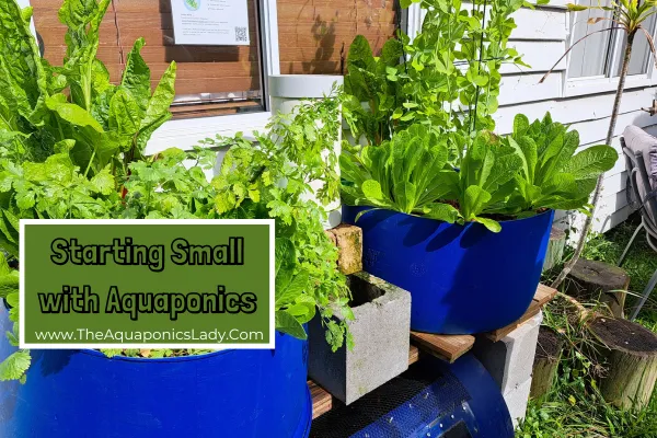 Small home aquaponics system designs