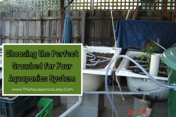 Small home aquaponics system growbeds