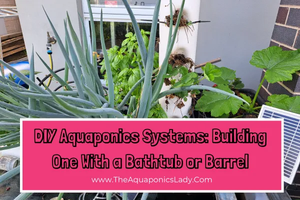 Small home aquaponics system