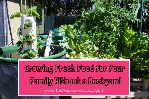 How to Grow Fresh Food at Home Without a Backyard (Using Aquaponics!)