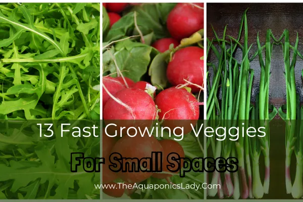 13 Fast-Growing Veggies You Can Grow in Small Spaces