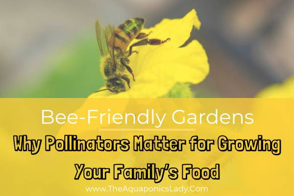 Bee-Friendly Gardens: Why Pollinators Matter for Growing Your Family’s Food