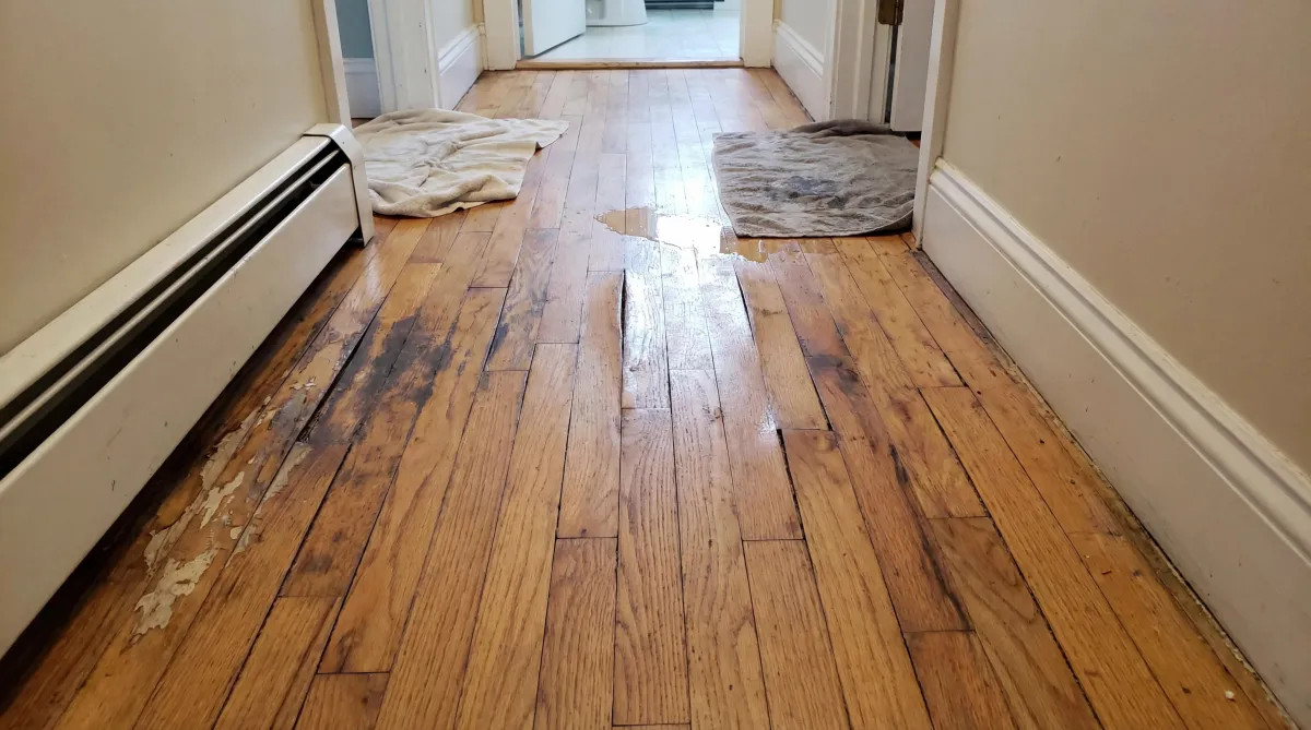 Flooring Problems Jacksonville Homeowners Face Most (And Why They Happen)