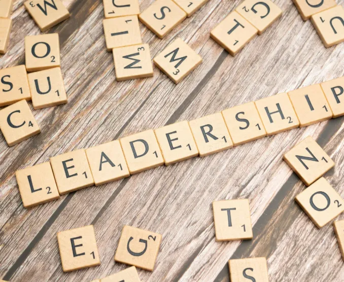 Technician VS Visionary Leadership