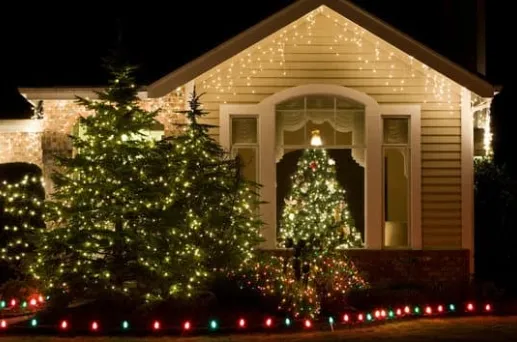 Front yard with multiple trees decorated in warm white Christmas lights, illustrating how tree size and quantity influence outdoor holiday lighting costs.