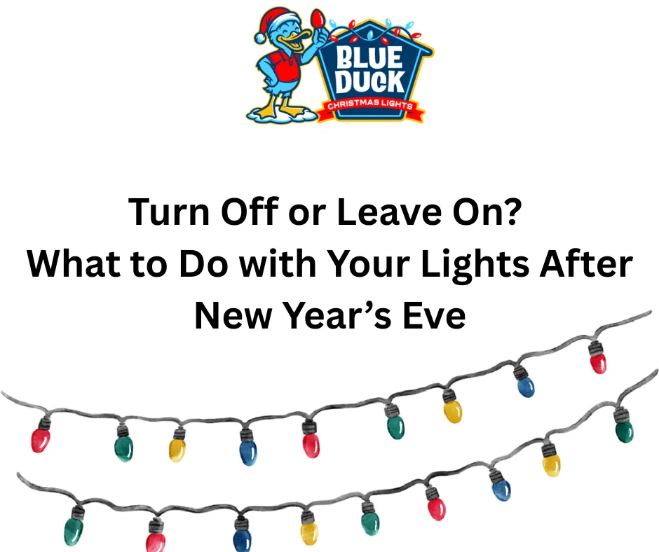 Turn Off or Leave On? What to Do with Your Lights After New Year’s Eve – Blue Duck Christmas Lights