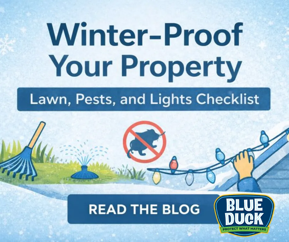 A winter property checklist covering lawn care, pest prevention, and holiday light maintenance to help homeowners stay protected all season long. | Trust Blue Duck