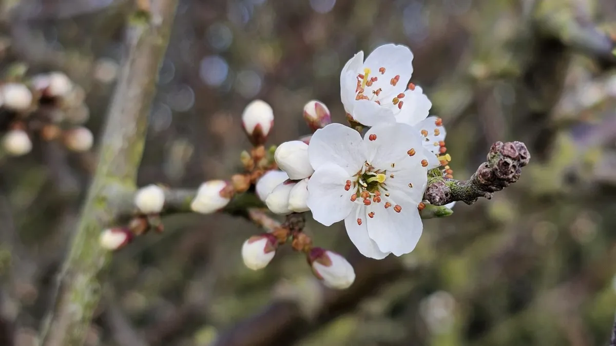 Abundance and gratitude