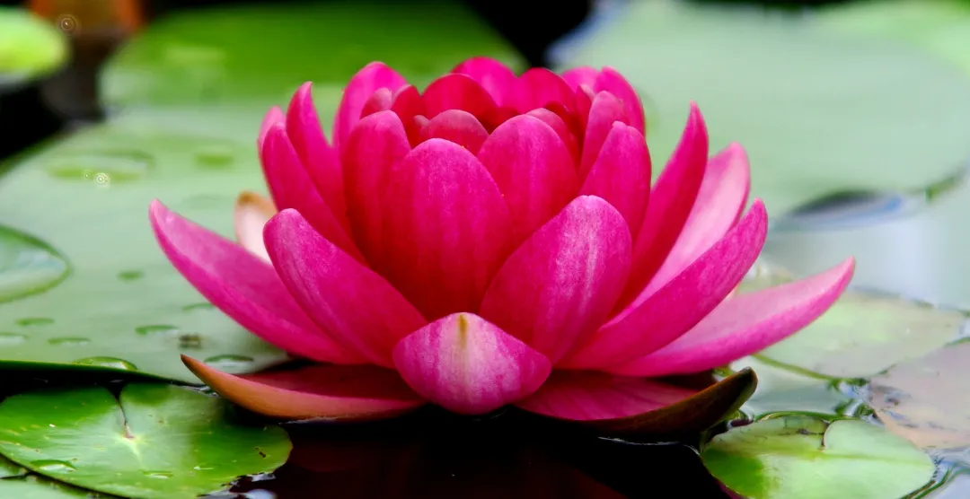 Why Practising Self-Compassion Might Be the Best Thing You Ever Do