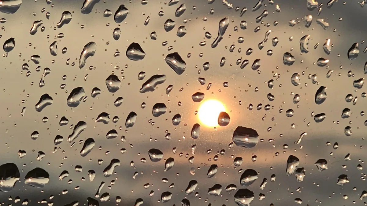 Finding self-kindness in the rain
