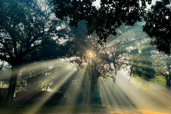 Giving and Receiving Compassion