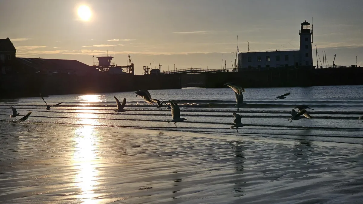 Gratitude in Motion: A Morning Walk by the Sea