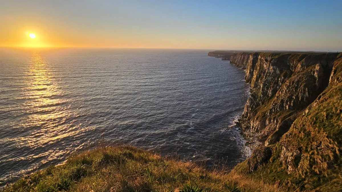 Nature’s Wonders: Full Moon, Sunrise, and Wildlife at Flamborough