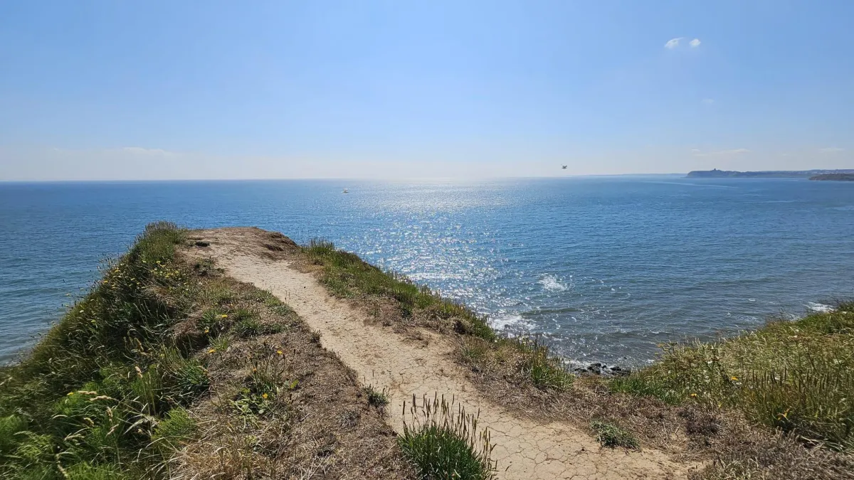 Seeking Stillness in Nature’s Balm for the Heart and Soul