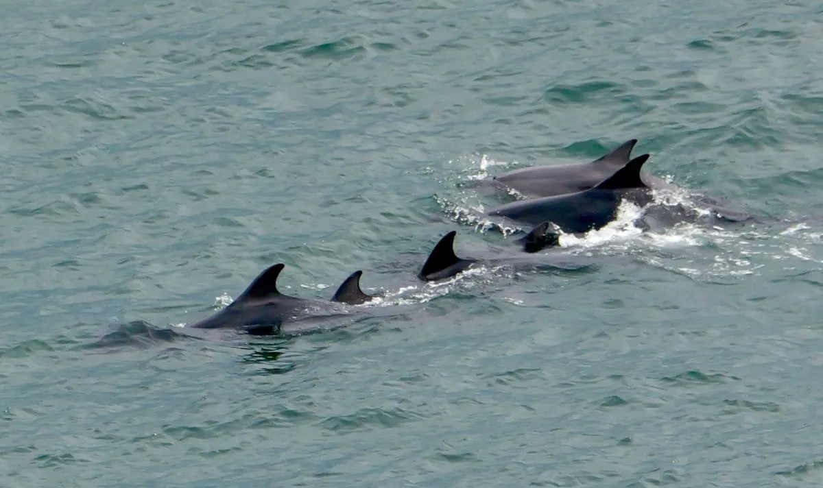 Nourishing the Soul with Nature and Self-Kindness