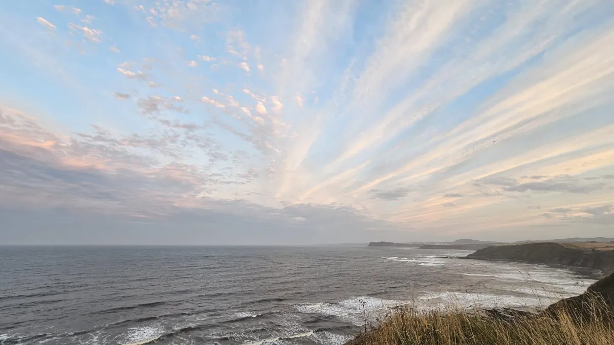 Half Empty, Half Full, and What Nature Offers