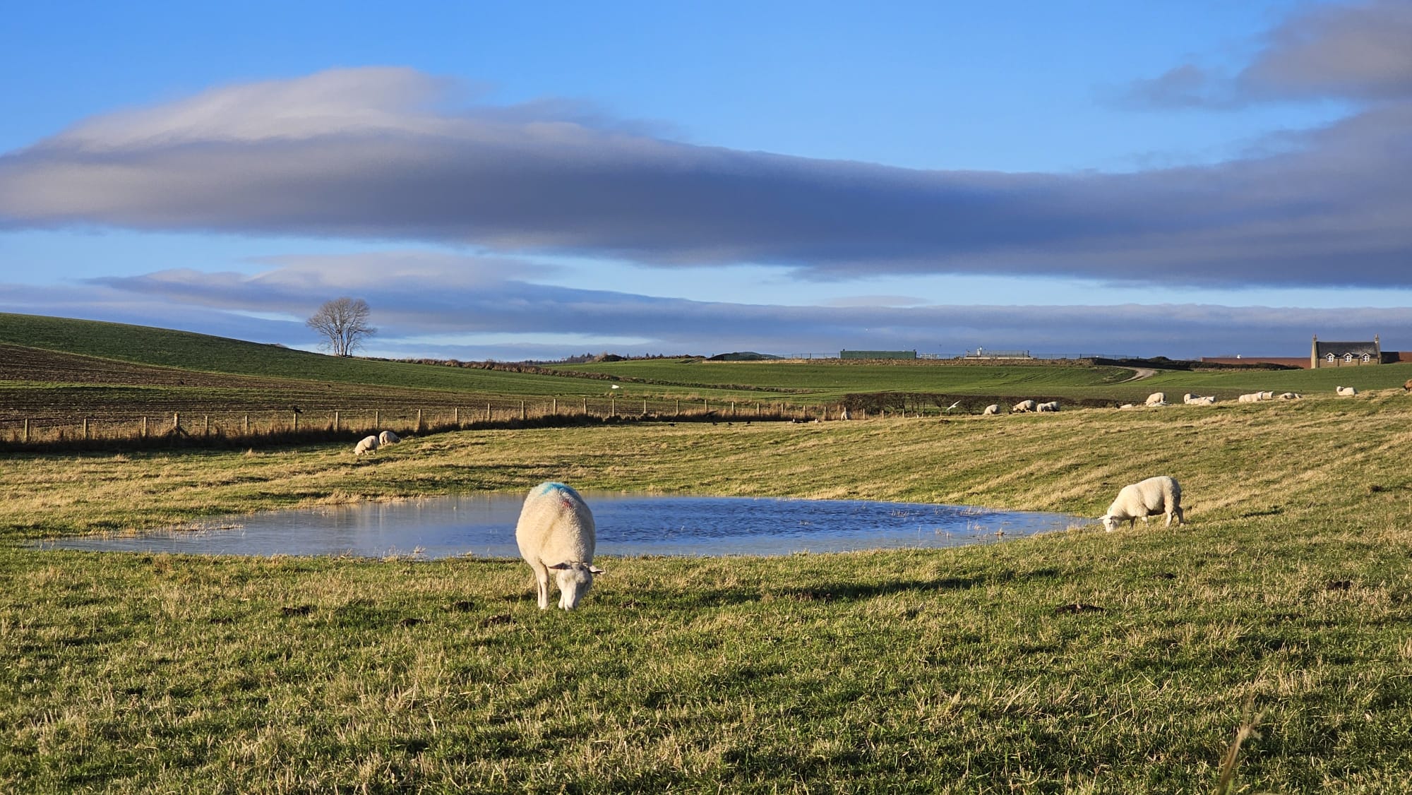 Finding the Silver Lining