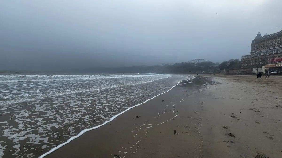 Language and self-kindness