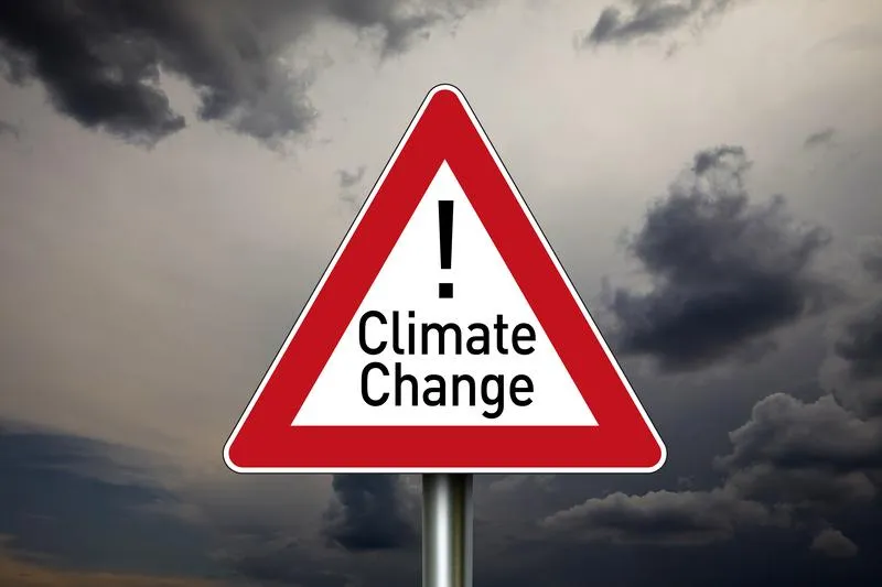 Climate Change Policies—A Conservative View on the Hidden Costs and Better Solutions