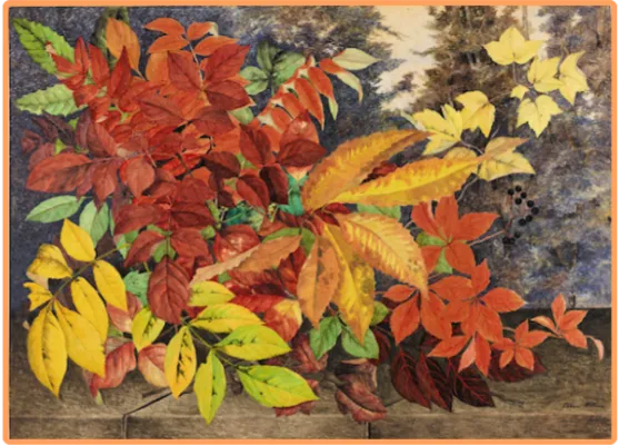 Artist of the Month: Ellen Robbins