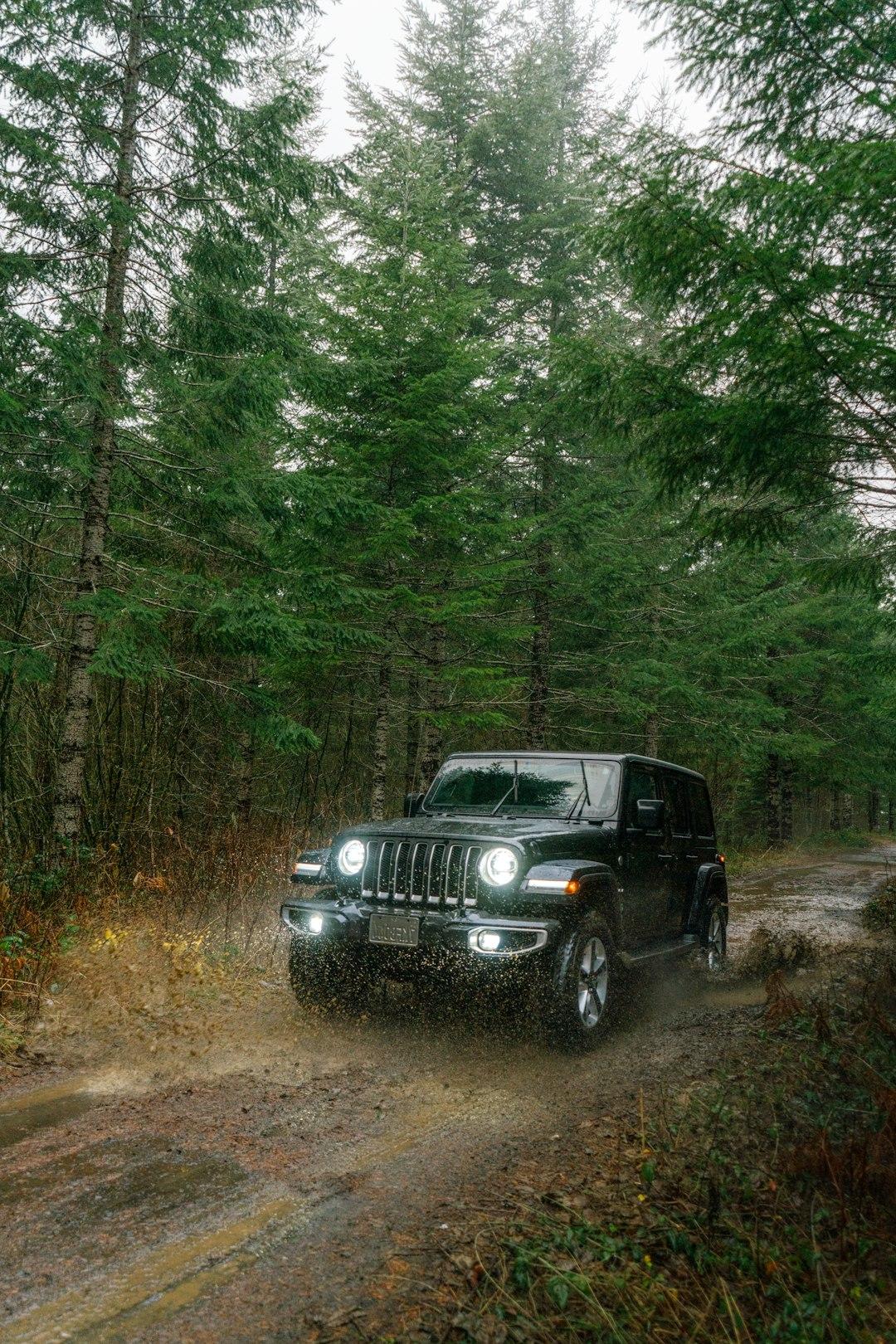 How Seasonal Changes Impact Your Vehicle’s Condition and How Detailing Can Help