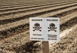 The Toxic Truth Behind Conventional Farming
