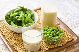 Soy Unveiled: Navigating the Good and Bad for Your Health
