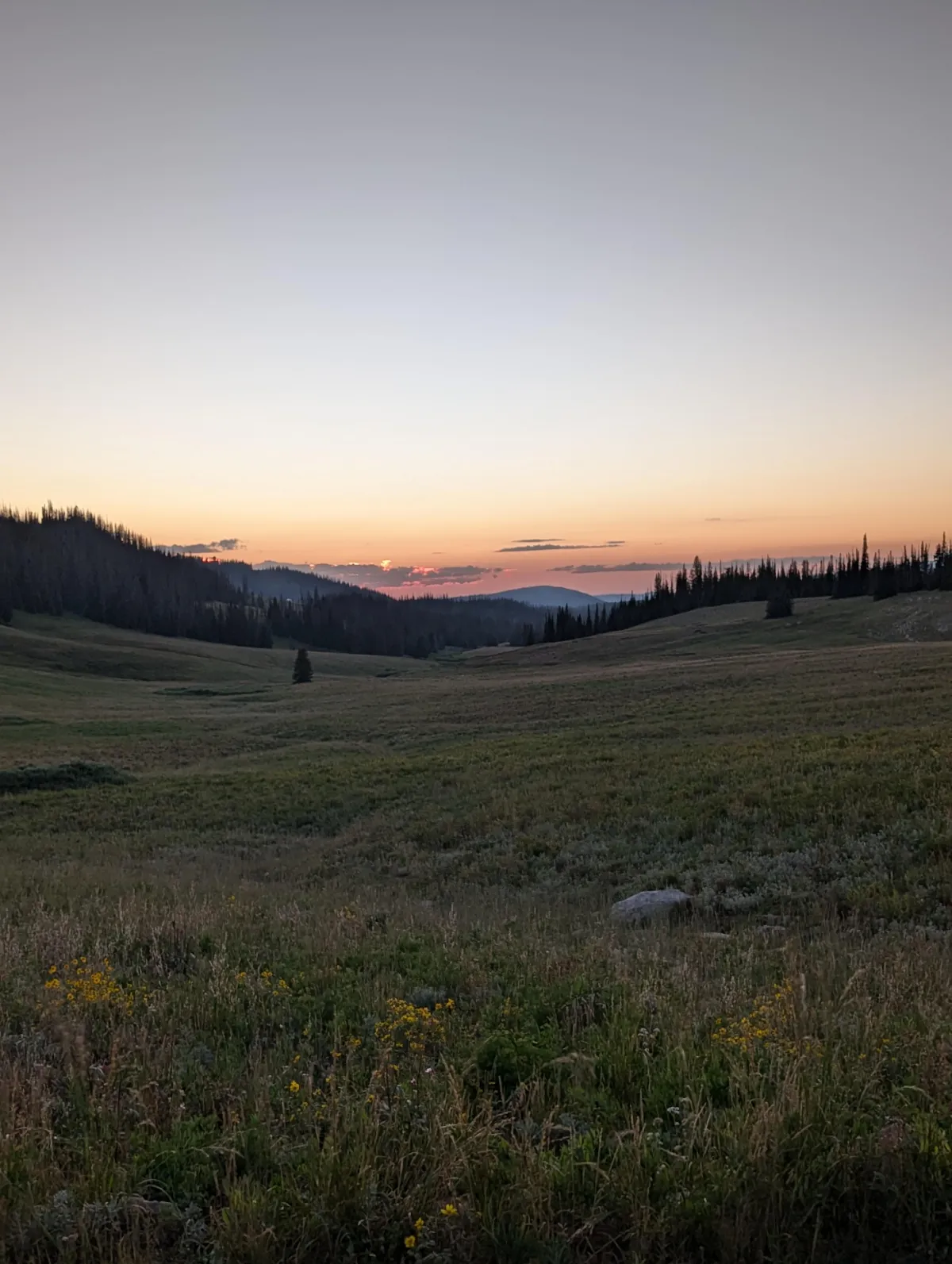 The Core Values of Muley Nation: How Faith, Persistence and Education Lead to Bigger Bucks