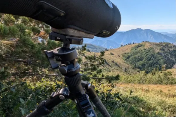 Glassing For High Country Mule Deer: Proven Tactics to Locate More Bucks