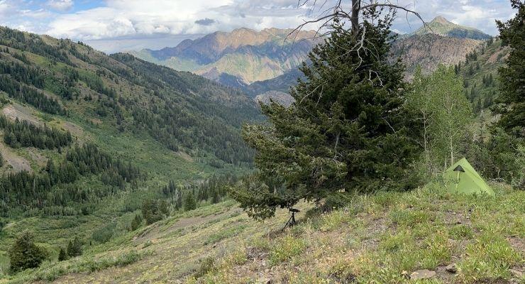 How Being a Student of the Game Will Make You a Better Mule Deer Hunter