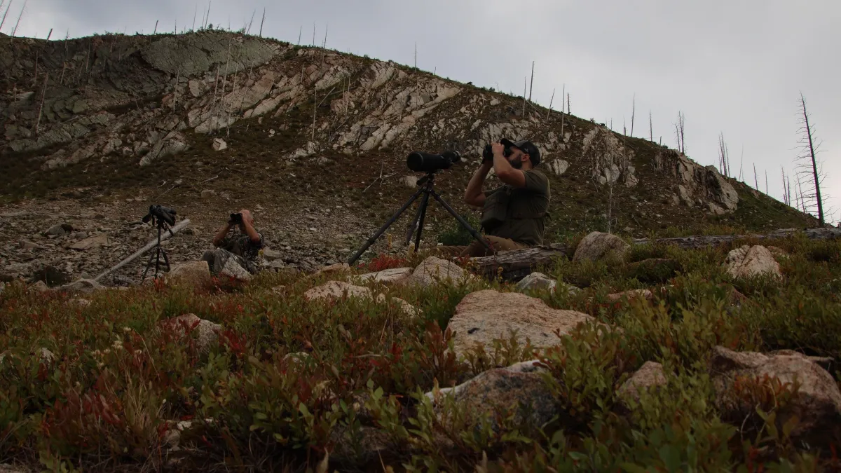 Mule Deer Hunting Tips: Hard-Earned Lessons from the Field