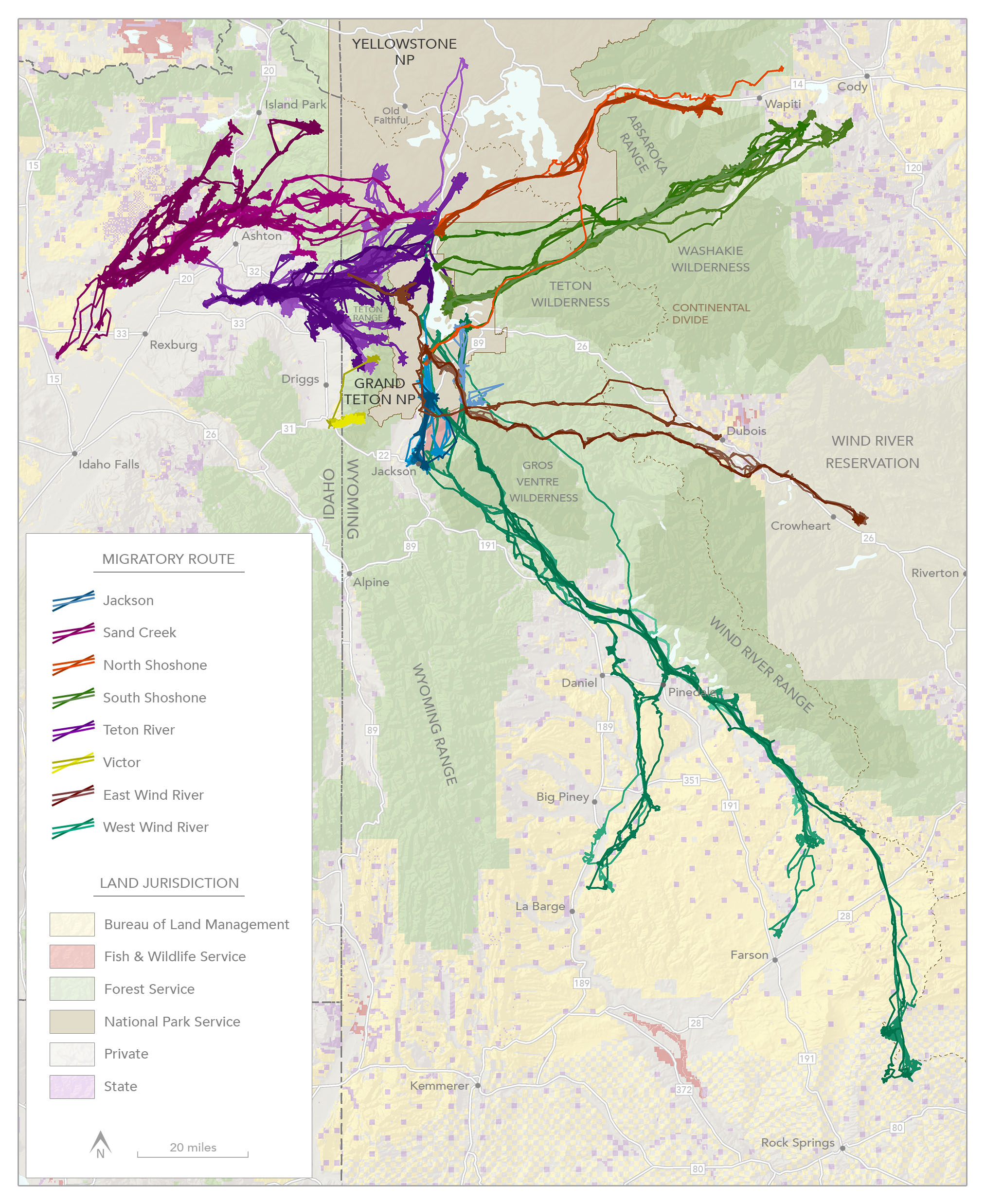 Following the Green Wave: Understanding Mule Deer Migration and the Importance of Conservation