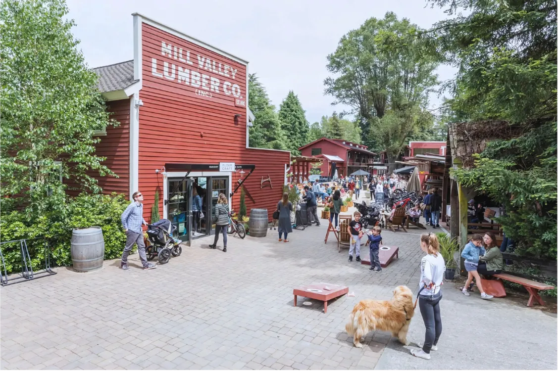 Your Guide to a Self-Guided Walking Tour Mill Valley