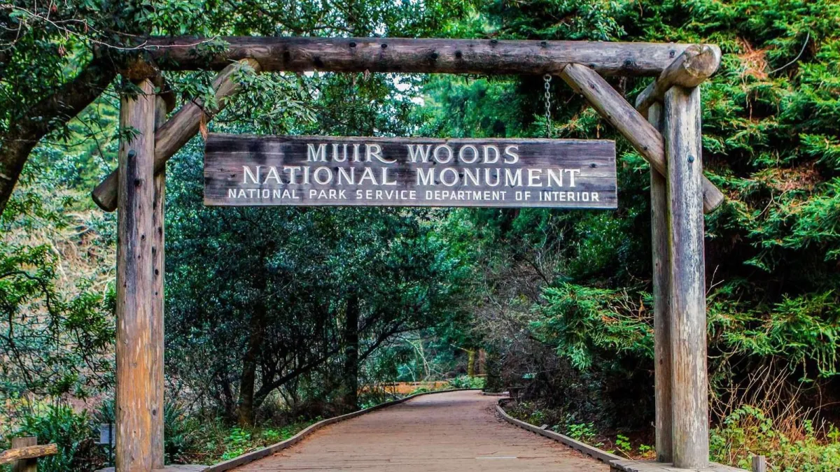 Entrance gate to Muir Woods National Monument, a rustic wooden archway surrounded by towering redwood trees and lush greenery, welcoming visitors to the forest trail.
