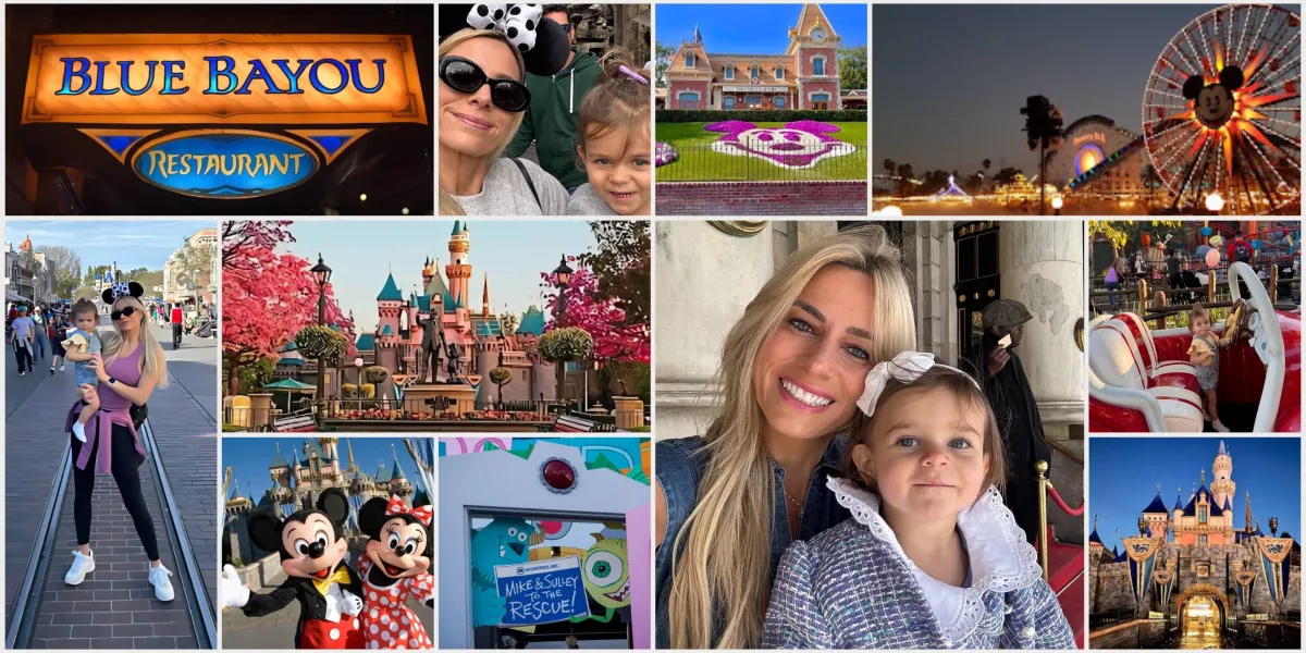 Disneyland with a Toddler: Tips from an L.A. Mom of a 2.5 Year Old for a Magical, Stress-Free Visit