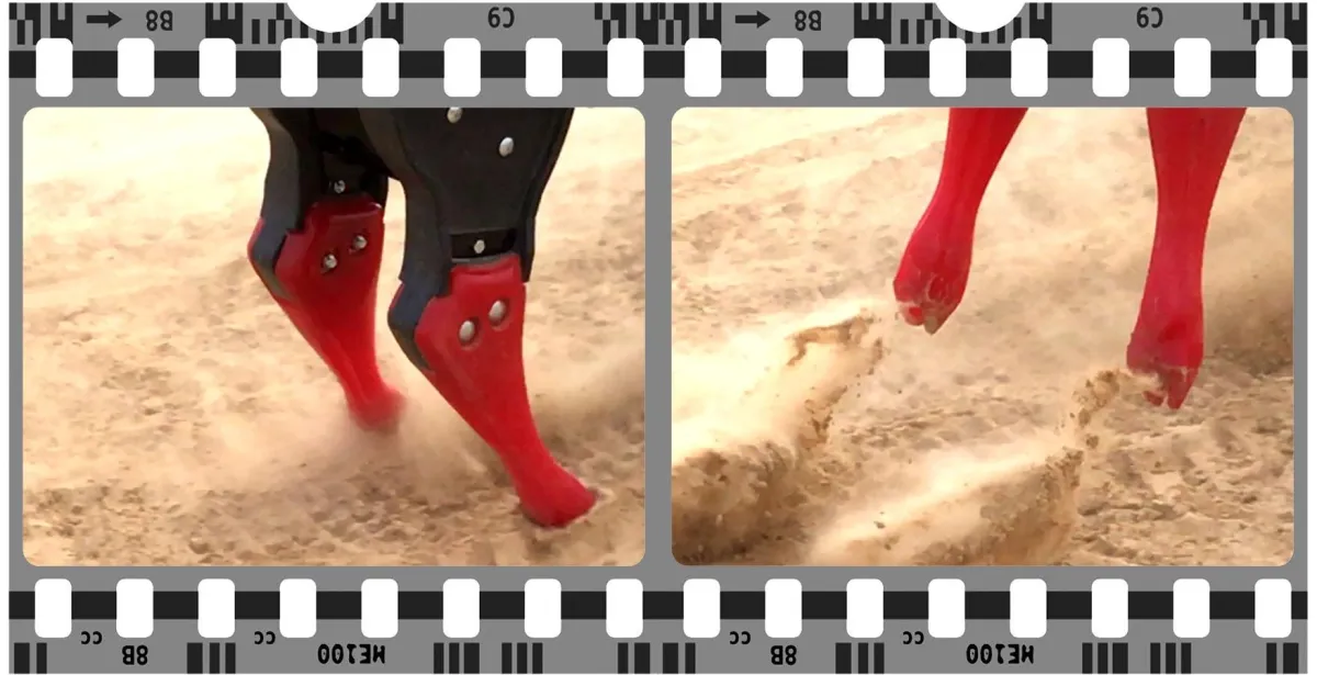 Touch Dirt: How Roping Dummies Keep You Grounded