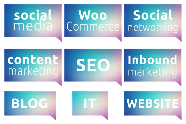 Content Writer