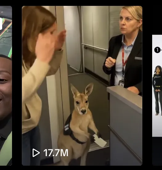 Looks Real — Made with AI: The Video That Got 17 Million Views Without a Camera
