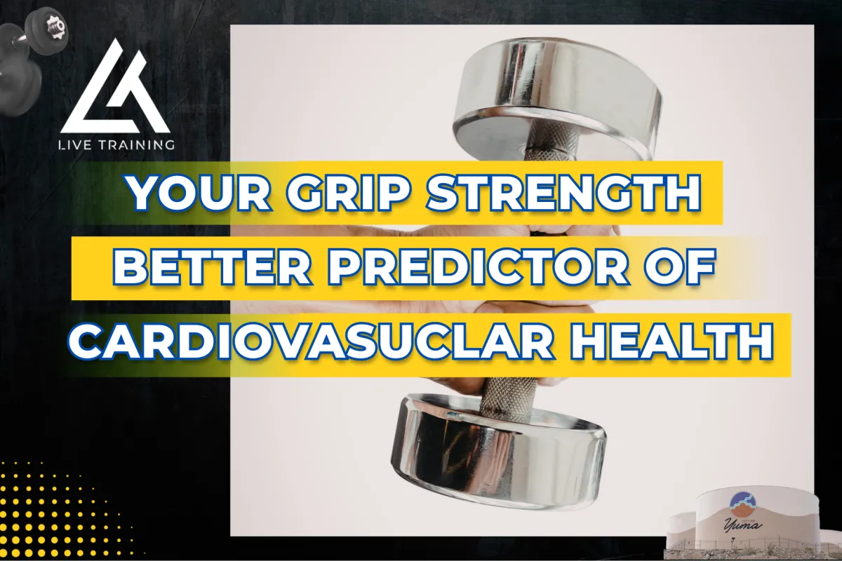 8. Why Grip Strength Matters More Than You Think (And What It Says About Your Health)