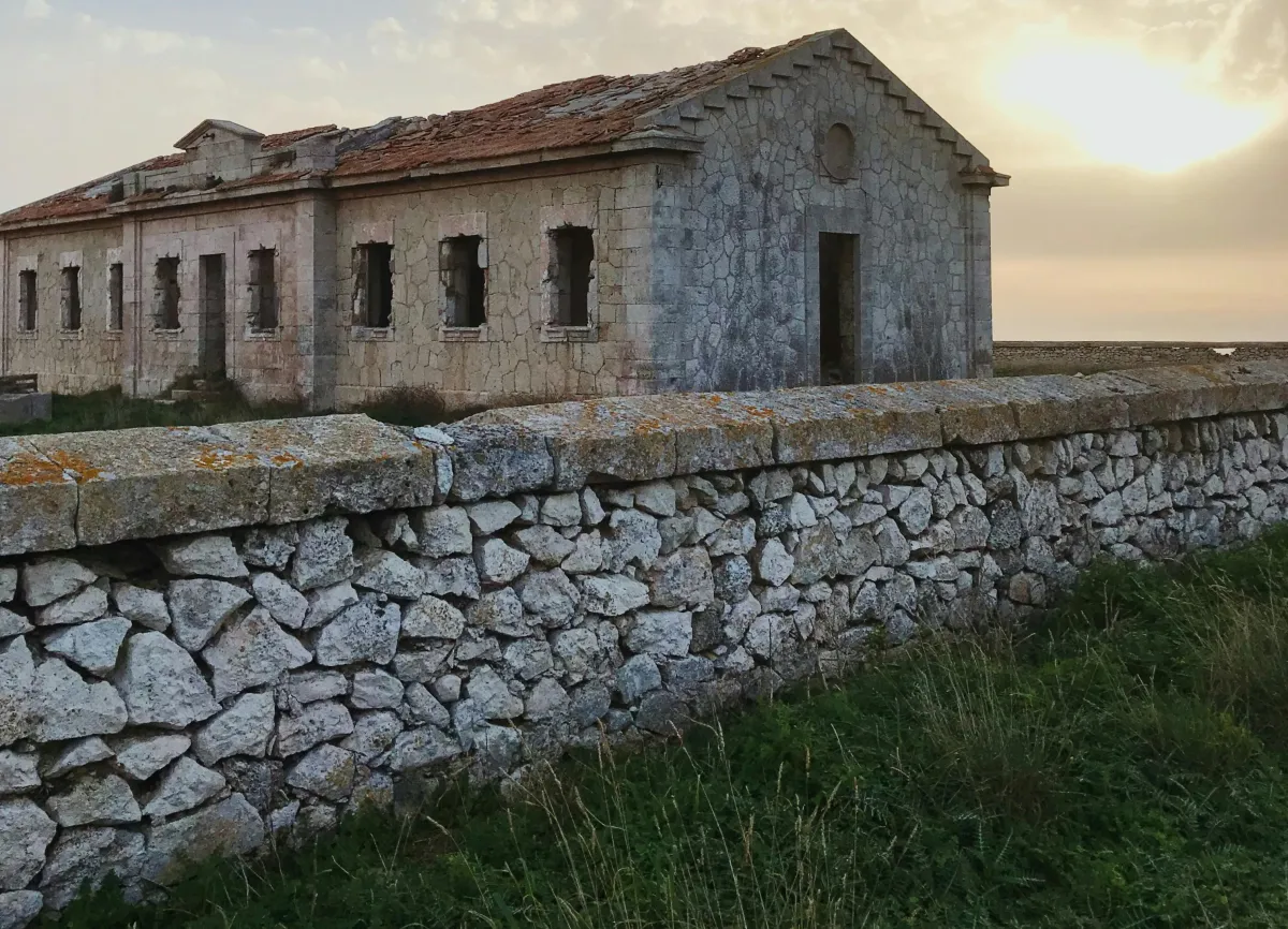 Navigating the SDLT Relief Landscape